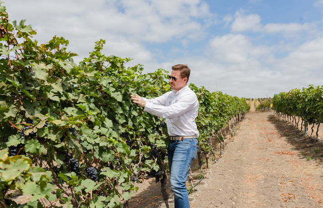 Visita a la bodega Dos Hemisferios - Foto 7