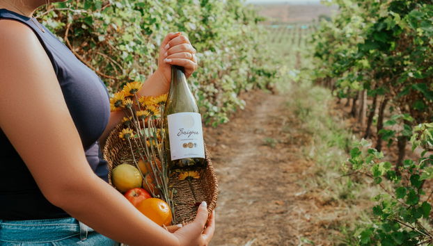 Dos Hemisferios Winery Tour - Photo 4