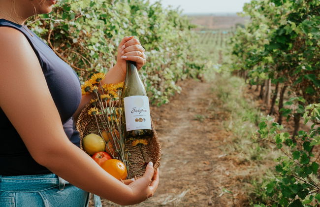 Visita a la bodega Dos Hemisferios - Foto 4