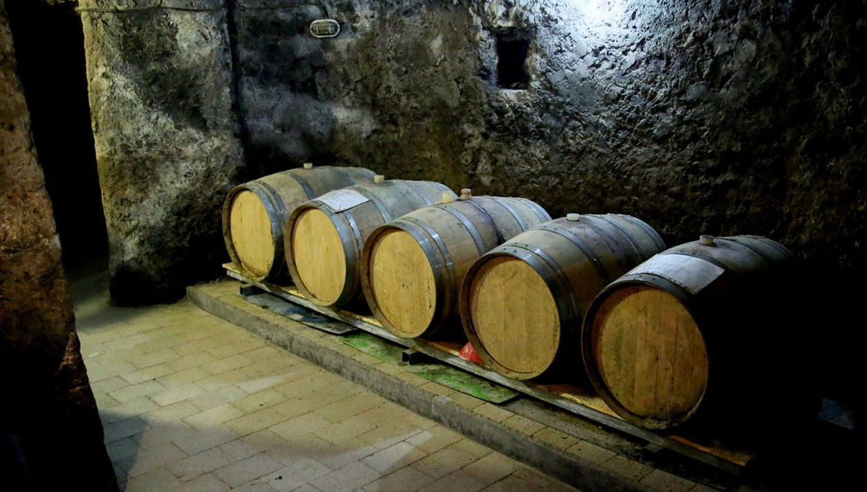 Visita a la bodega Fuocomuorto - Foto 1