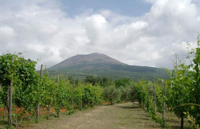 Visita alla cantina Fuocomuorto - Foto 5