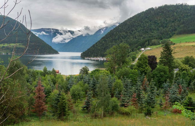 Guided Kayak Tour in Kaupanger - Foto 4