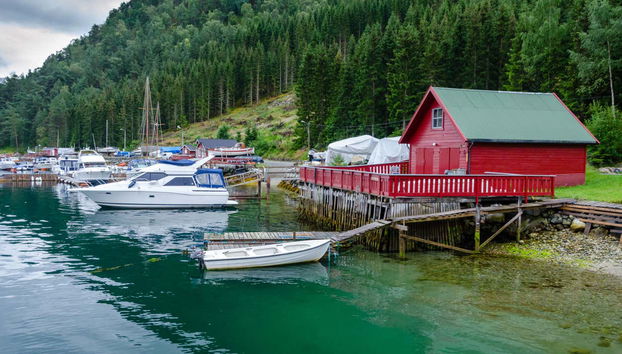 Guided Kayak Tour in Kaupanger - Foto 5
