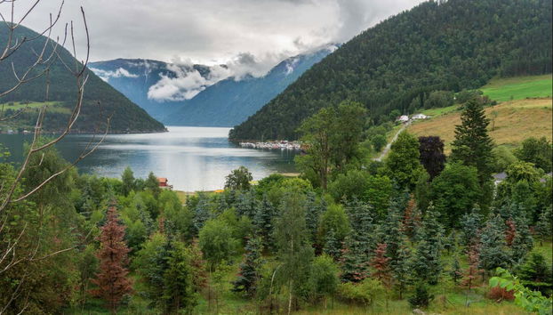 Guided Kayak Tour in Kaupanger - Foto 3