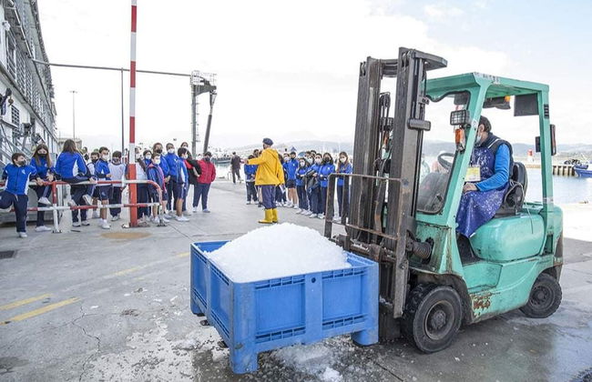 Visite dans le port et le marché aux poissons de Santoña + Musée de l'anchois - Photo 2