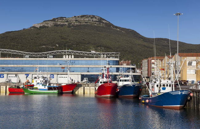 Tour of Port and Fish Market in Santoña + Anchovy Museum - Foto 6