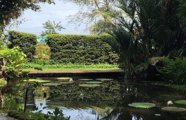 Ingresso do Jardim de Especiarias Tropicais - Foto 7