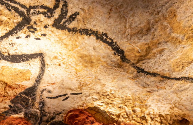 Visita ao Centro Internacional de Arte Rupestre Lascaux IV - Foto 6