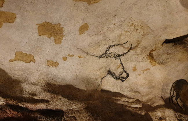Visita ao Centro de Arte rupestre e à caverna de Lascaux IV - Foto 6