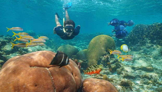 Snorkel no Mindelo - Foto 4
