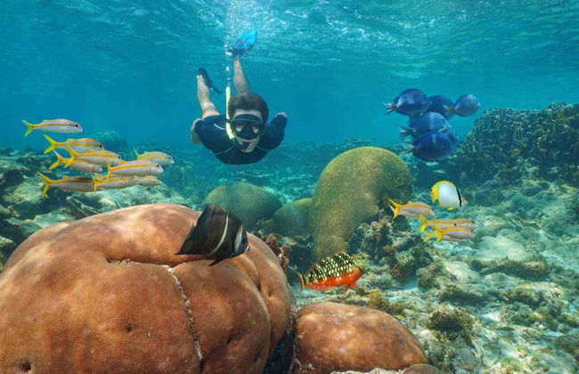 Snorkel no Mindelo - Foto 4