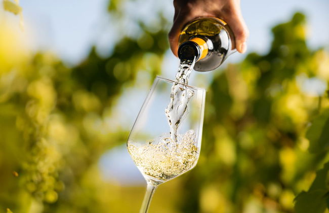 Canberra Wineries Tour - Photo 4