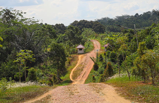 Tour de aventura en Iquitos - Foto 9