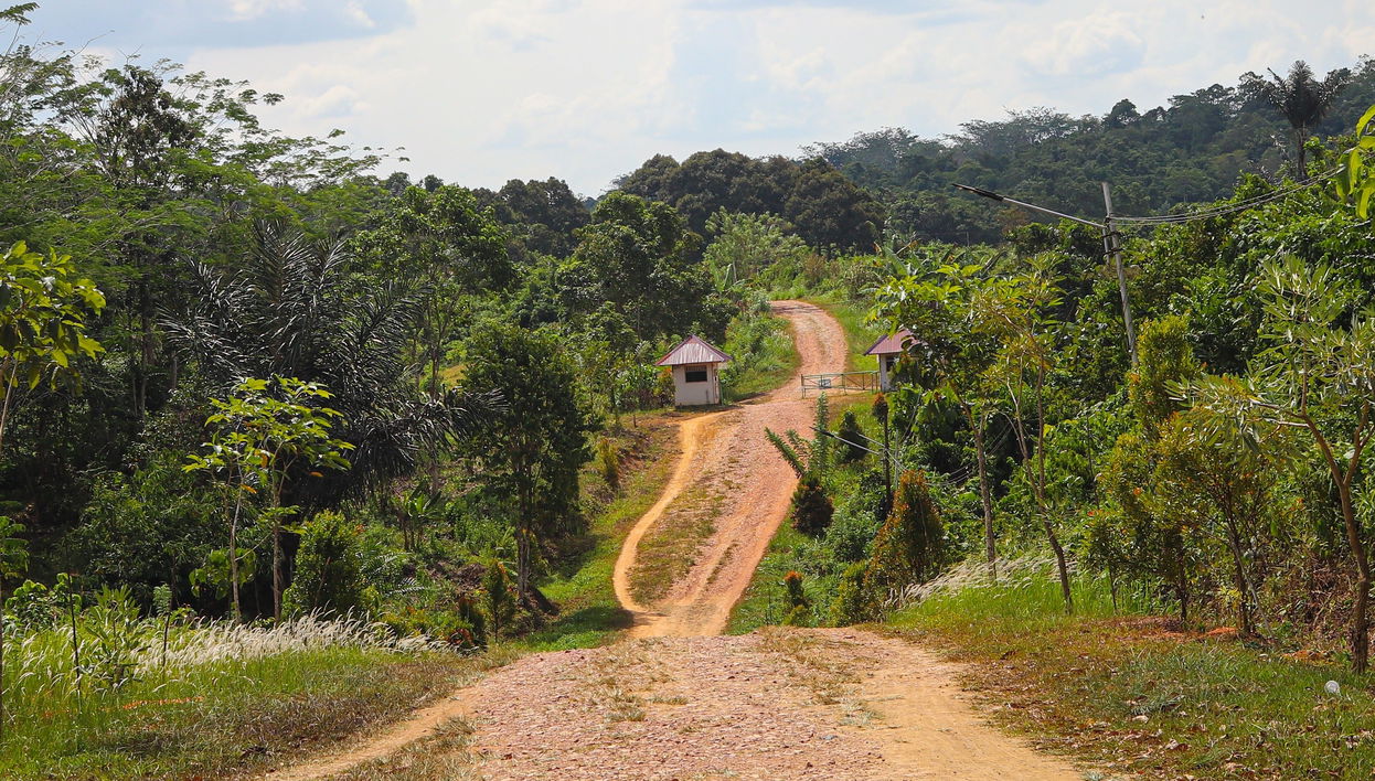 Iquitos Adventure Tour
