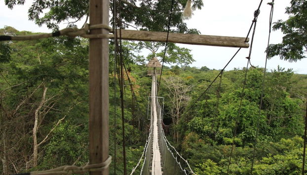 Cross a hanging bridge over the jungle
