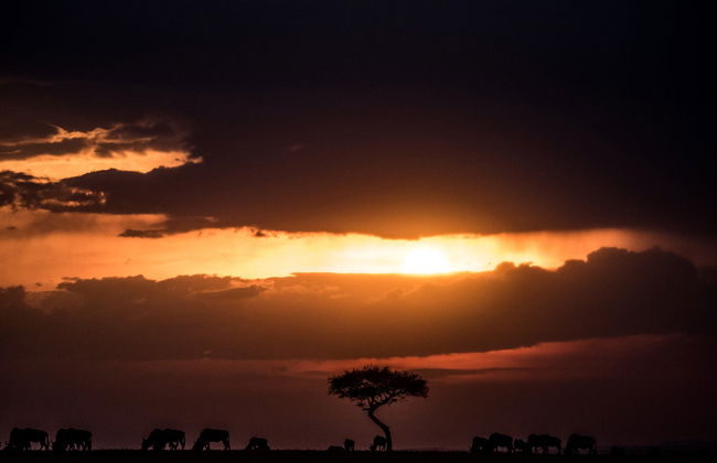 Northern Kenya 9-Day Private Tour - Photo 5