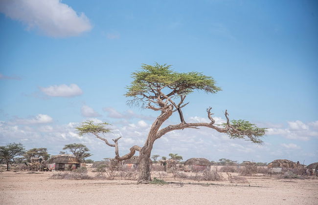 Northern Kenya 9-Day Private Tour - Photo 6