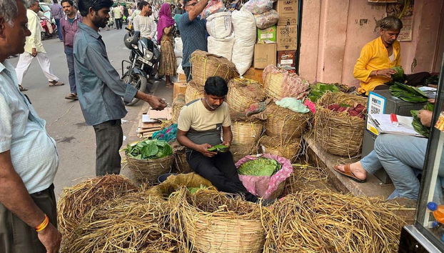 Tour por los templos de Agra - Foto 5