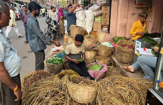 Tour por los templos de Agra - Foto 5