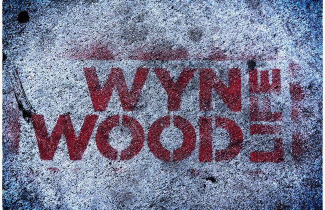 Excursión a Miami en grupo reducido + Paseo en barco - Foto 7