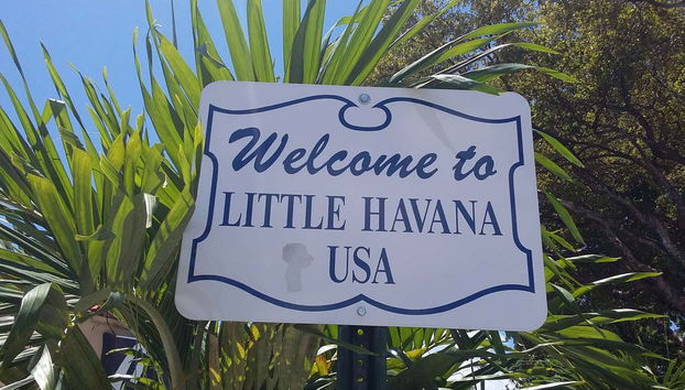 Excursion à Miami en petit groupe + Balade en bateau - Photo 4