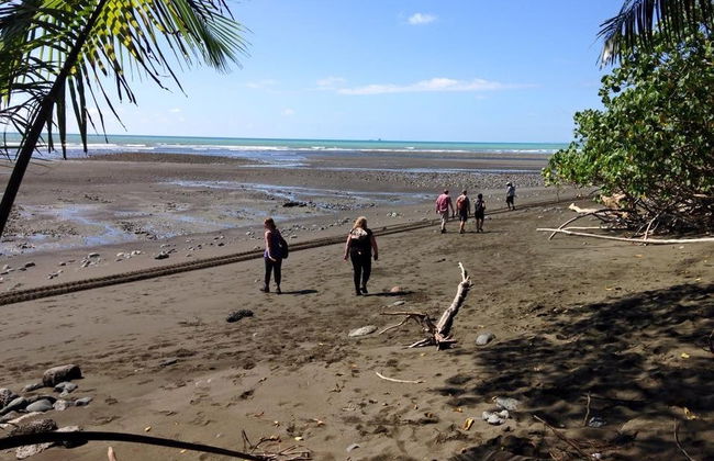Excursión al Parque Nacional Corcovado - Foto 4