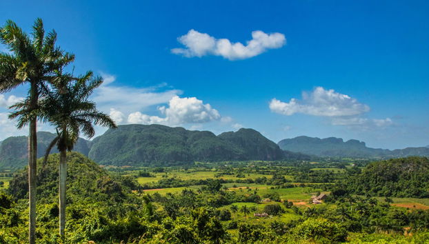 Paseo en calesa por el Valle de Viñales - Foto 5