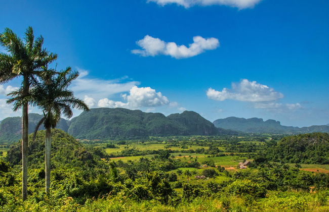Viñales Valley Carriage Ride - Foto 5