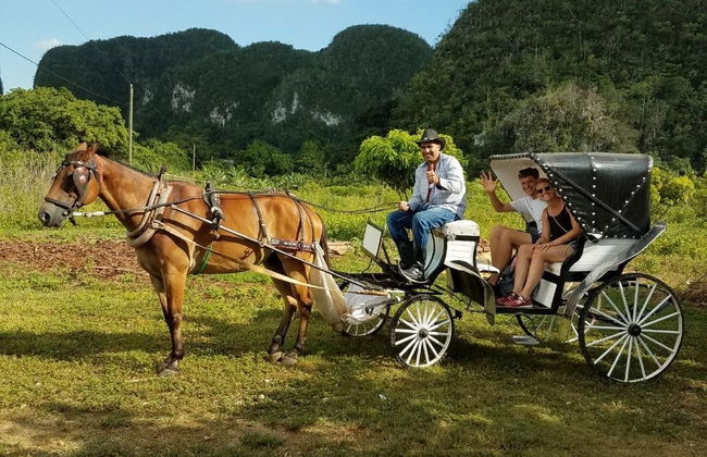 Viñales Valley Carriage Ride - Photo 6