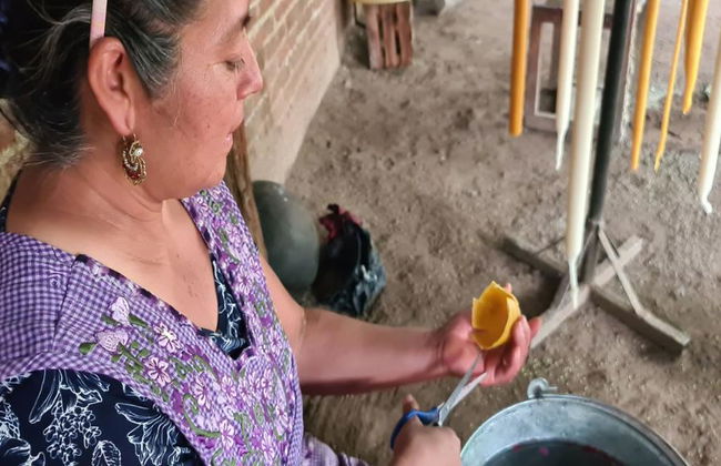 Pueblos de Oaxaca: San Martín Tilcajete, Teotitlán del Valle y Santa Maria el Tule - Foto 8