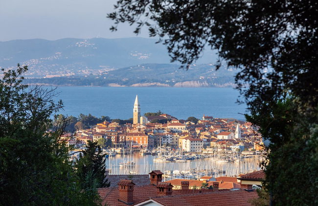 Tour por la Riviera eslovena - Foto 3