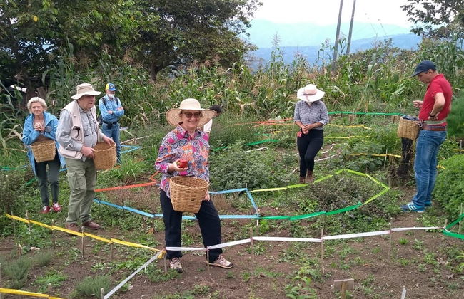 Sesión de aromaterapia y meditación en la finca Tierra Activa - Foto 2