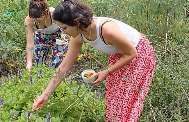 Sesión de aromaterapia y meditación en la finca Tierra Activa - Foto 7