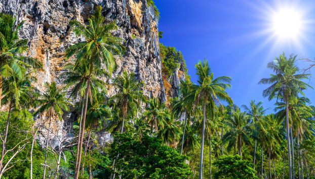 Speedboat Transfer to Krabi Peninsula - Photo 4