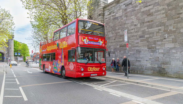 Dublin City Sightseeing Bus Tour - Foto 2