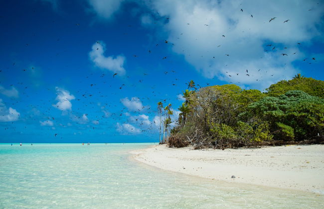 Excursão a Tetiaroa - Foto 3