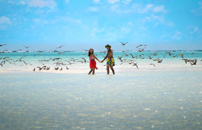 Excursão a Tetiaroa - Foto 4