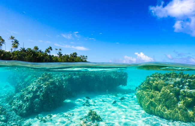 Excursão a Tetiaroa - Foto 2