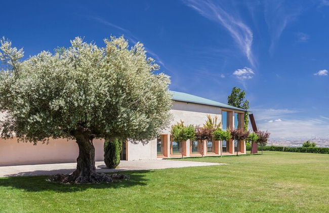 Visita privada al olivar y cata de AOVE con degustación - Foto 3