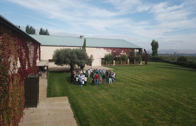Visita privada al olivar y cata de AOVE con degustación - Foto 6