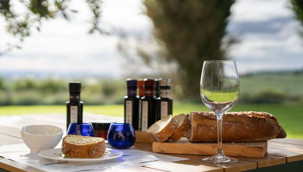 Visita privada al olivar y cata de AOVE con degustación - Foto 2