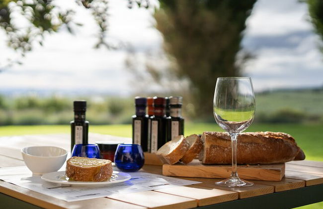 Visita privada al olivar y cata de AOVE con degustación - Foto 2