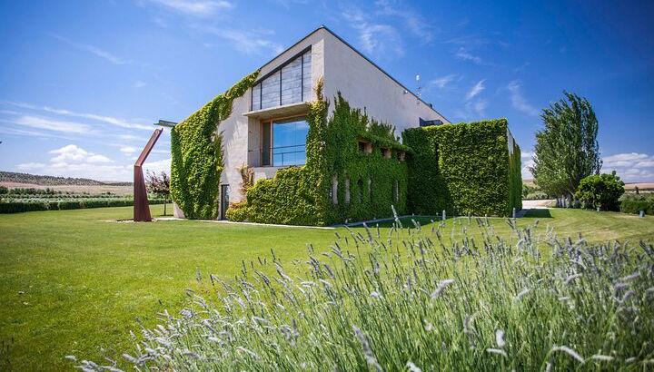 Private Olivenhain-Tour und EVOO-Verkostung - Foto 1