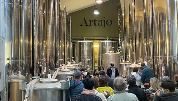 Visita privada al olivar y cata de AOVE con degustación - Foto 5