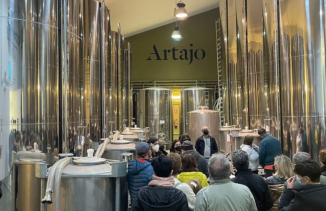 Visita privada al olivar y cata de AOVE con degustación - Foto 5
