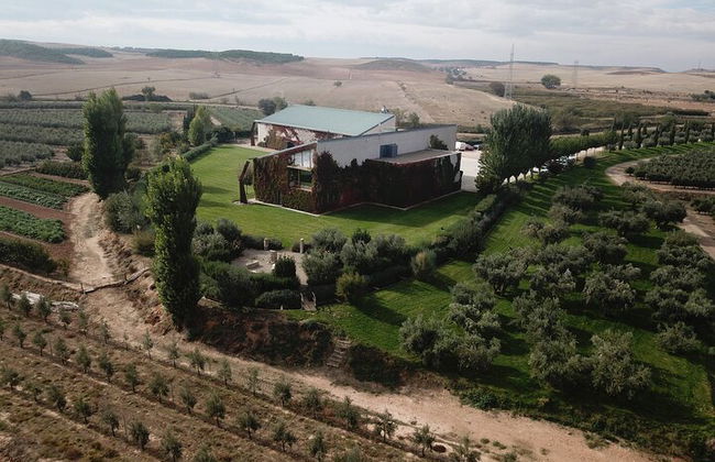 Visita privada al olivar y cata de AOVE con degustación - Foto 7
