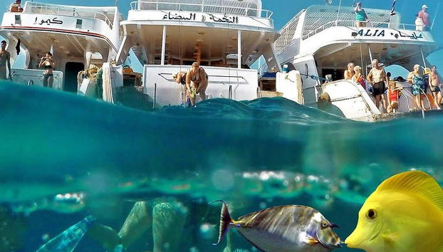 Snorkeling Trip en Hamata Islands desde Marsa Alam - Foto 4