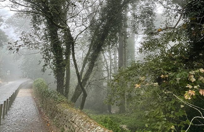 Tour privado de día completo en Sintra/Cascais - Foto 19