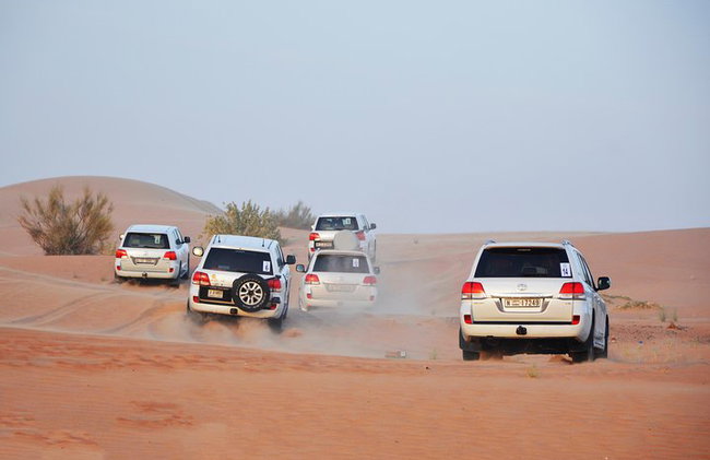 Desert Safari Drive with BBQ Dinner - Photo 7