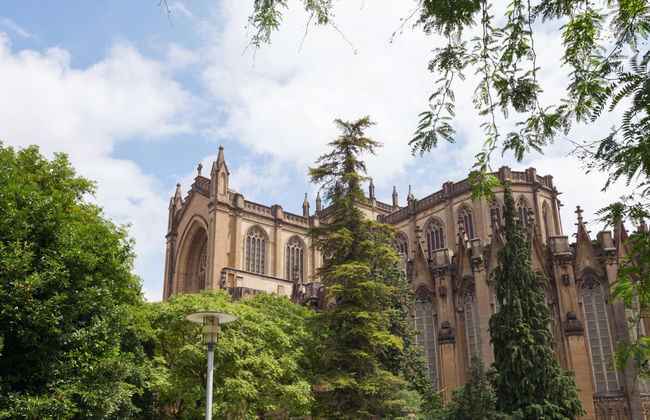 Visita guiada por la Catedral Nueva de Vitoria - Photo 2